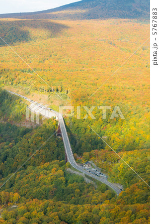 城ヶ倉大橋付近の紅葉：空撮 5767883