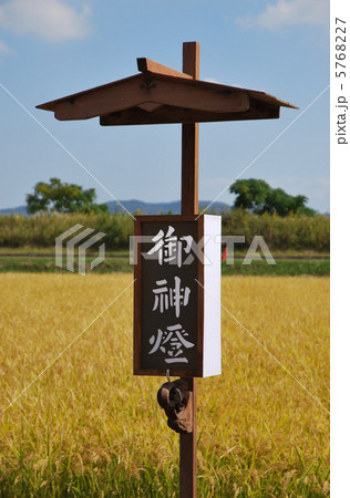 秋祭りの御神燈と稲穂 岡山県岡山市東区 秋祭りの御神燈と稲穂 岡山県岡山市東区 5768227