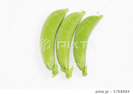 スナップエンドウ スナップエンドウ 5768884