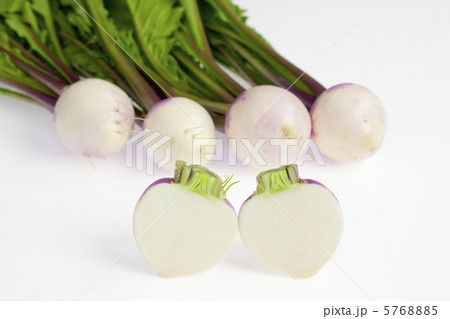 野菜・カブ 野菜・カブ 5768885