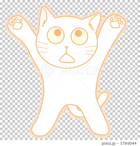 にゃんこ　白バック03 5769044