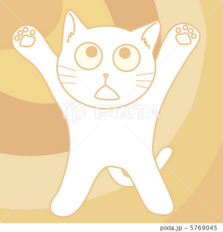 にゃんこ　03 5769045