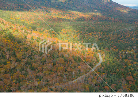 八甲田の紅葉　空撮 5769286
