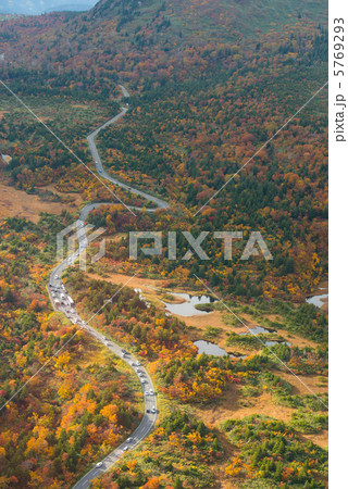 睡蓮沼付近の紅葉 空撮 睡蓮沼付近の紅葉 空撮 5769293