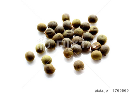 オクラの種 5769669