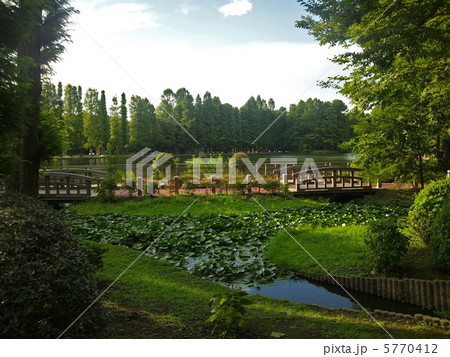 公園の夕方 5770412