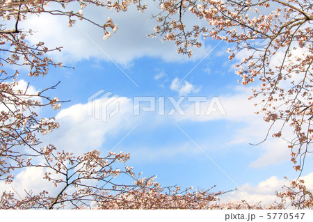 春爛漫 春爛漫 5770547