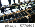 伊勢神宮（外宮）の手水所 5770605
