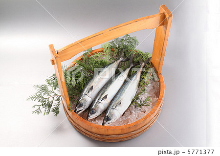 真さば 真さば 5771377