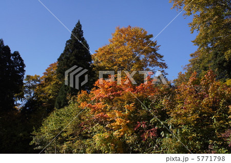 野沢温泉 上ノ平高原 野沢温泉 上ノ平高原 5771798