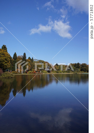 野沢温泉　上ノ平高原 5771802