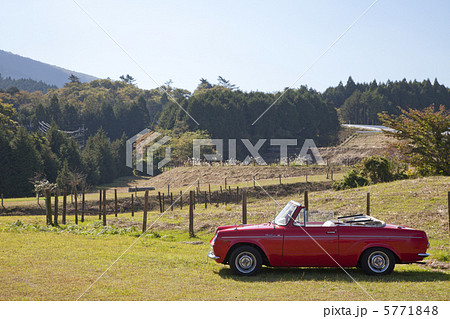 草原とオープンカー 5771848