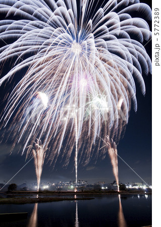 特大花火 5772389