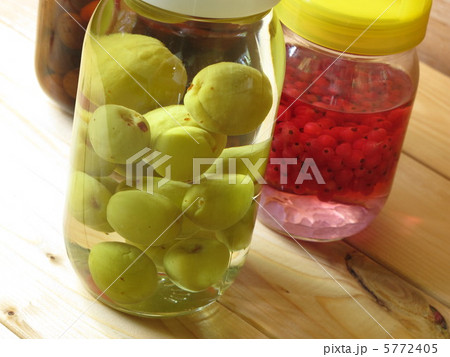 果実酒 5772405