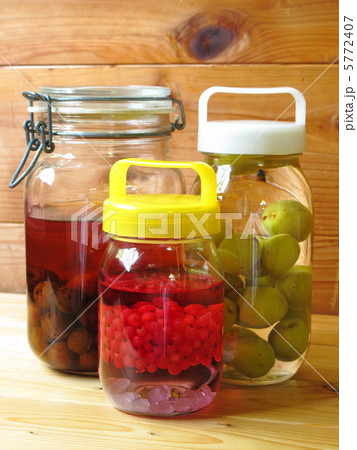 果実酒 果実酒 5772407