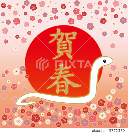 梅霞とへび-6 5772570