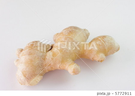 生姜　ショウガ 5772911
