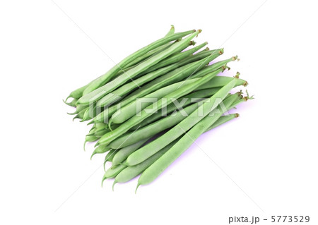 インゲン豆 インゲン豆 5773529