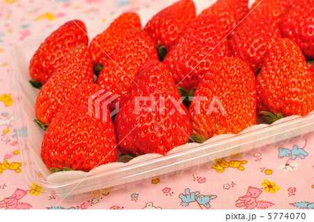 苺(紅ほっぺ) 5774070