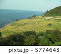 千枚田 5774643