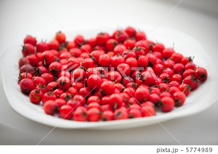 Hawthorn berries 5774989