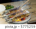 さんま 5775259