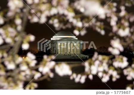 ワシントンDCの桜 5775607
