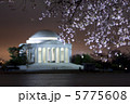 ワシントンDCの桜 5775608