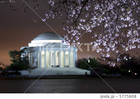 ワシントンDCの桜 5775608