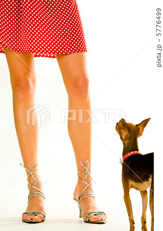 Doggy and its owner 5776499