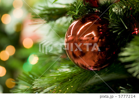 Ball on branch 5777214