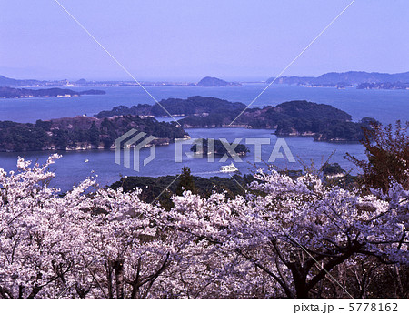 松島と桜 5778162