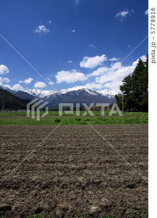 大町から北アルプスを望む 5778916