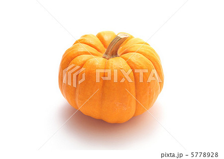 オレンジ色のかぼちゃの写真素材