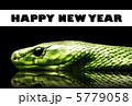 巳年 年賀状2 巳年 年賀状2 5779058