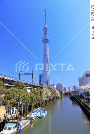東京スカイツリー 5779579