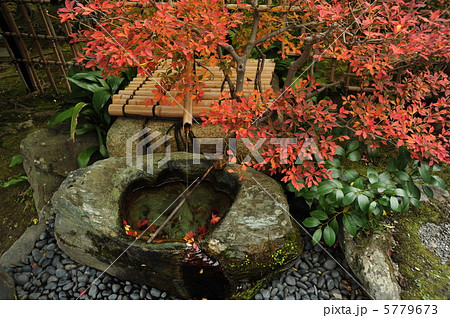 京都　天龍寺塔頭　妙智院のツクバイ 5779673
