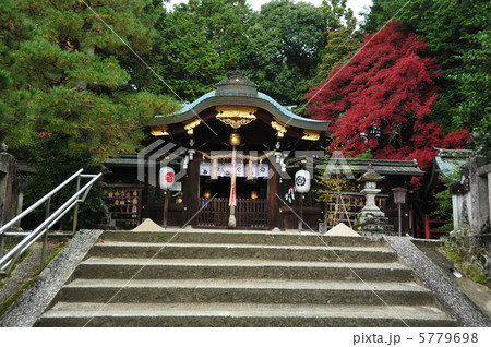 京都 秋の八大神社 京都 秋の八大神社 5779698
