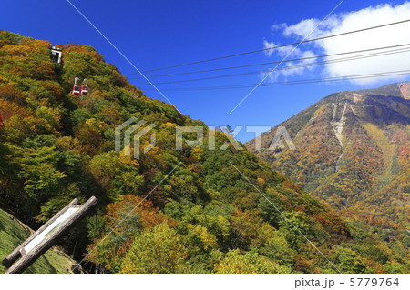 日光　明智平ロープウェイが見える風景 5779764