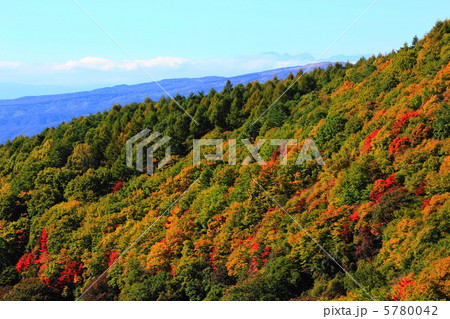 横谷観音展望台から見える紅葉と北アルプス 5780042