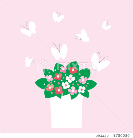 蝶と花 5780080