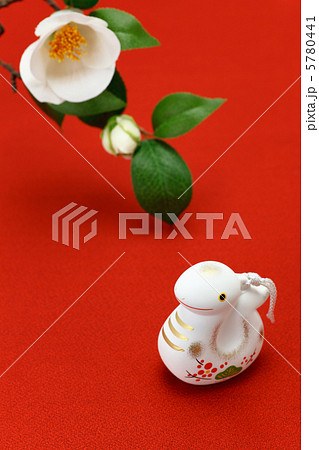 巳年 年賀素材 白蛇と椿の花 巳年 年賀素材 白蛇と椿の花 5780441