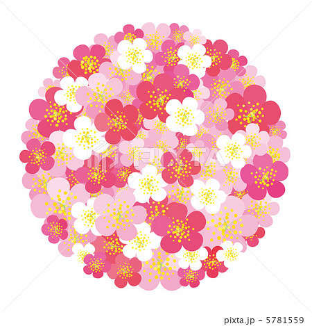 梅の花のイラスト素材 5781559 Pixta