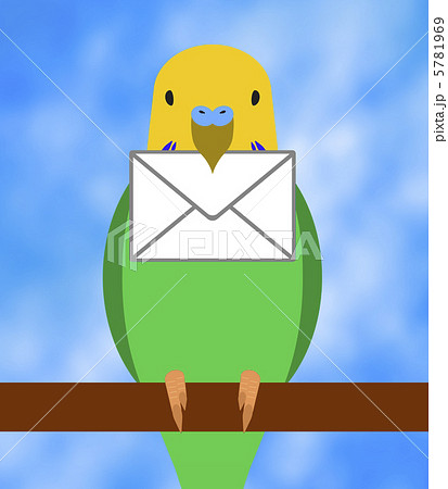 手紙を届けるインコ 5781969