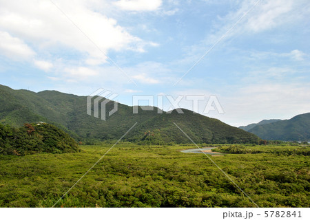 住用町マングローブ国定公園 5782841