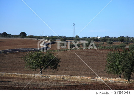 アルベロベッロのトゥルッリ 5784043