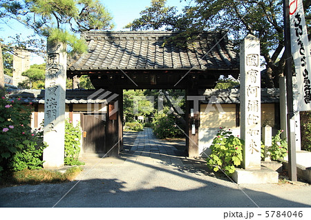 舎那院山門 5784046