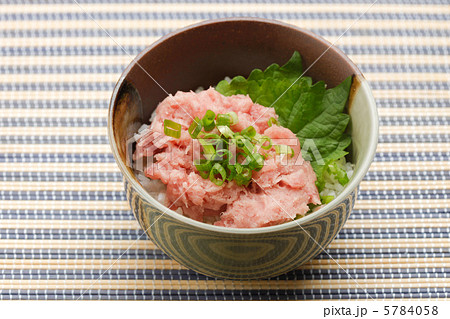 ネギトロ丼 5784058