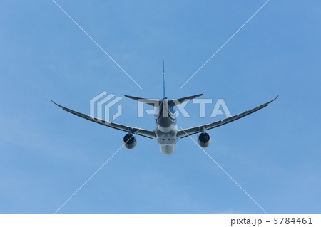 ボーイング787-8 ボーイング787-8 5784461