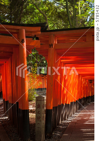 伏見稲荷大社　千本鳥居 5785432